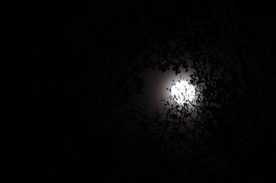 Low angle view of silhouette trees against sky at night