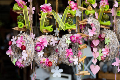 Close-up of pink flowering plants