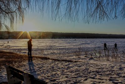 Sun shining through trees