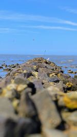 Surface level of rocks on beach against sky