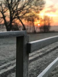 Close-up of railing against bare tree against sky