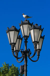 Low angle view of bird perching on street light