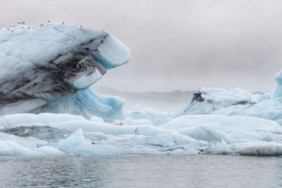 Scenic view of glacier in sea against sky