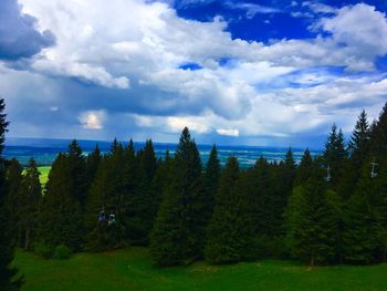 Scenic view of forest against sky