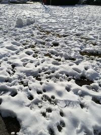 Full frame shot of frozen water