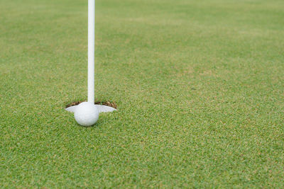 High angle view of golf ball on field