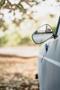 Side-view mirror of car 