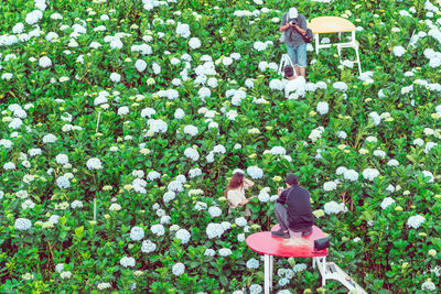 Rear view of people sitting by plants