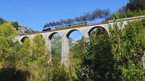 Low angle view of bridge with trees in background