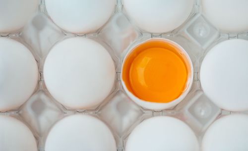 Full frame shot of eggs in carton