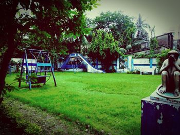 Lawn and chairs on grassy field