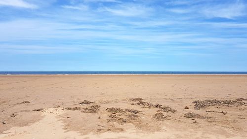 Scenic view of beach against blue sky