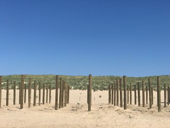 Wooden posts on field against clear blue sky