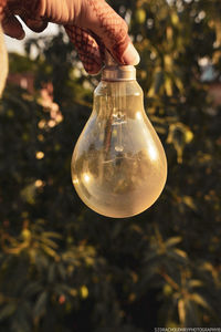 Cropped hand of woman holding light bulb