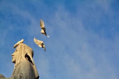 Low angle view of eagle flying against sky