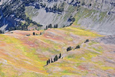 Timpanogos hiking trail landscape views in uinta wasatch cache national forest utah