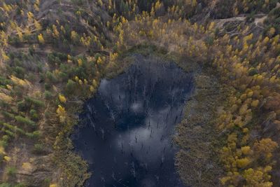 High angle view of trees on landscape