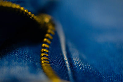 Macro shot of blue flower