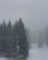 Scenic view of snow covered landscape