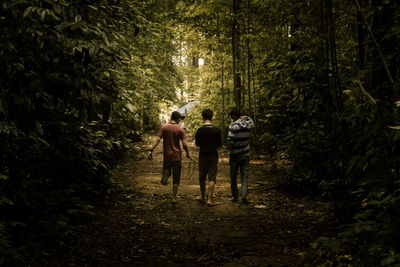 Rear view of men walking amidst trees in forest