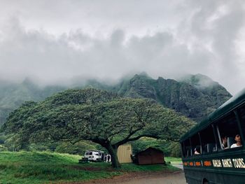 Trees by mountains against sky