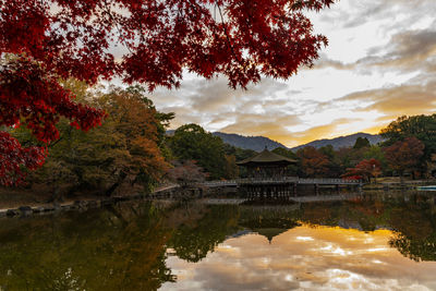 Nara park nara park reflection of the autumn leaves seasonal ukimido