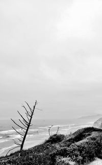 Scenic view of beach