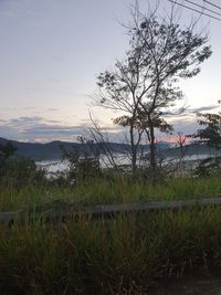 Scenic view of field against sky during sunset