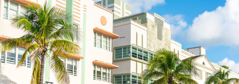 Low angle view of palm trees against sky