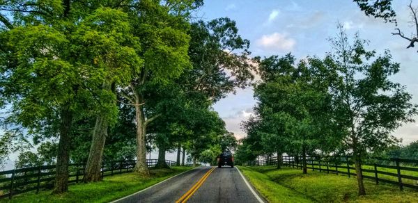 Road amidst trees against sky