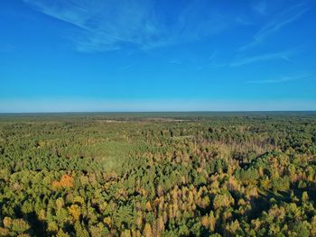 Scenic view of agricultural field against blue sky