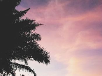 Low angle view of silhouette palm tree against romantic sky