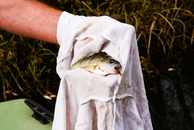 Close-up of human hand holding fish