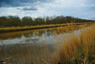 Scenic view of lake against sky