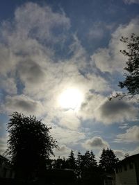 Low angle view of trees against cloudy sky