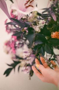 Cropped hand of woman holding plant