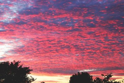 Low angle view of cloudy sky at sunset