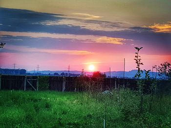 Scenic view of field against sky during sunset