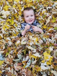 Portrait of cute young boy smiling in a pile of  leaves during autumn