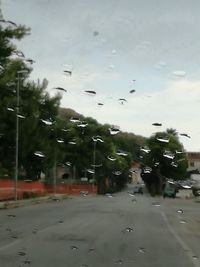 Cars on wet road against sky
