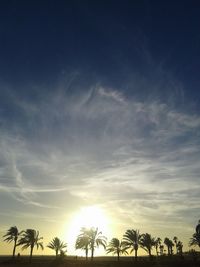 Silhouette palm trees against sky during sunset