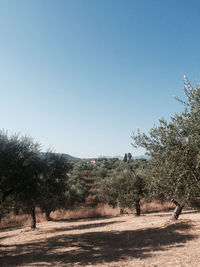 Scenic view of landscape against clear sky