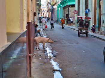 People on street in city