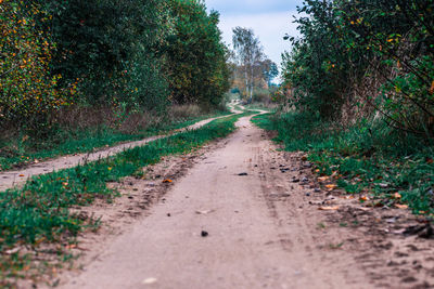 Dirt road amidst trees and plants