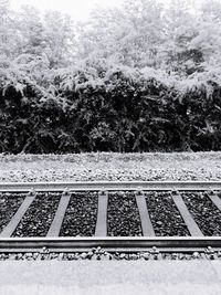 View of railroad tracks and plants