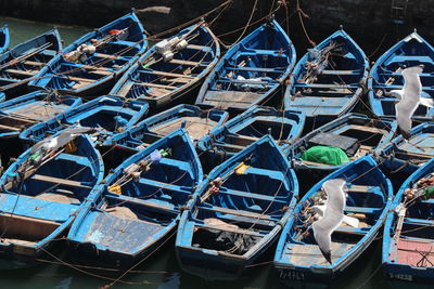 Birds flying over moored boats