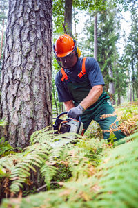 Man cutting tree in forest