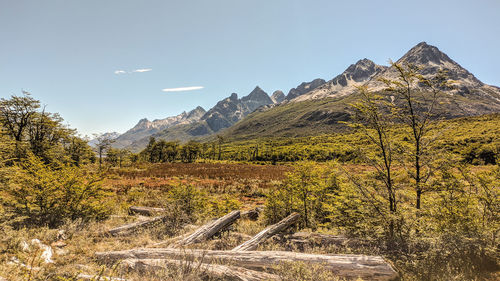 mountain