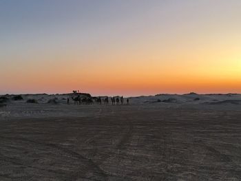 Silhouette of landscape at sunset