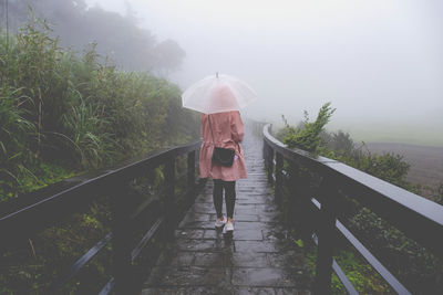 Rear view of woman standing on footbridge during rainy season